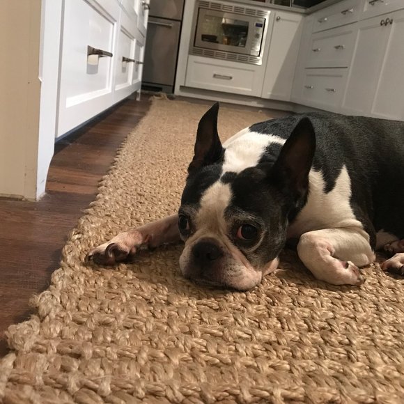 Meet your Posher, Diane - Picture 9 of 9